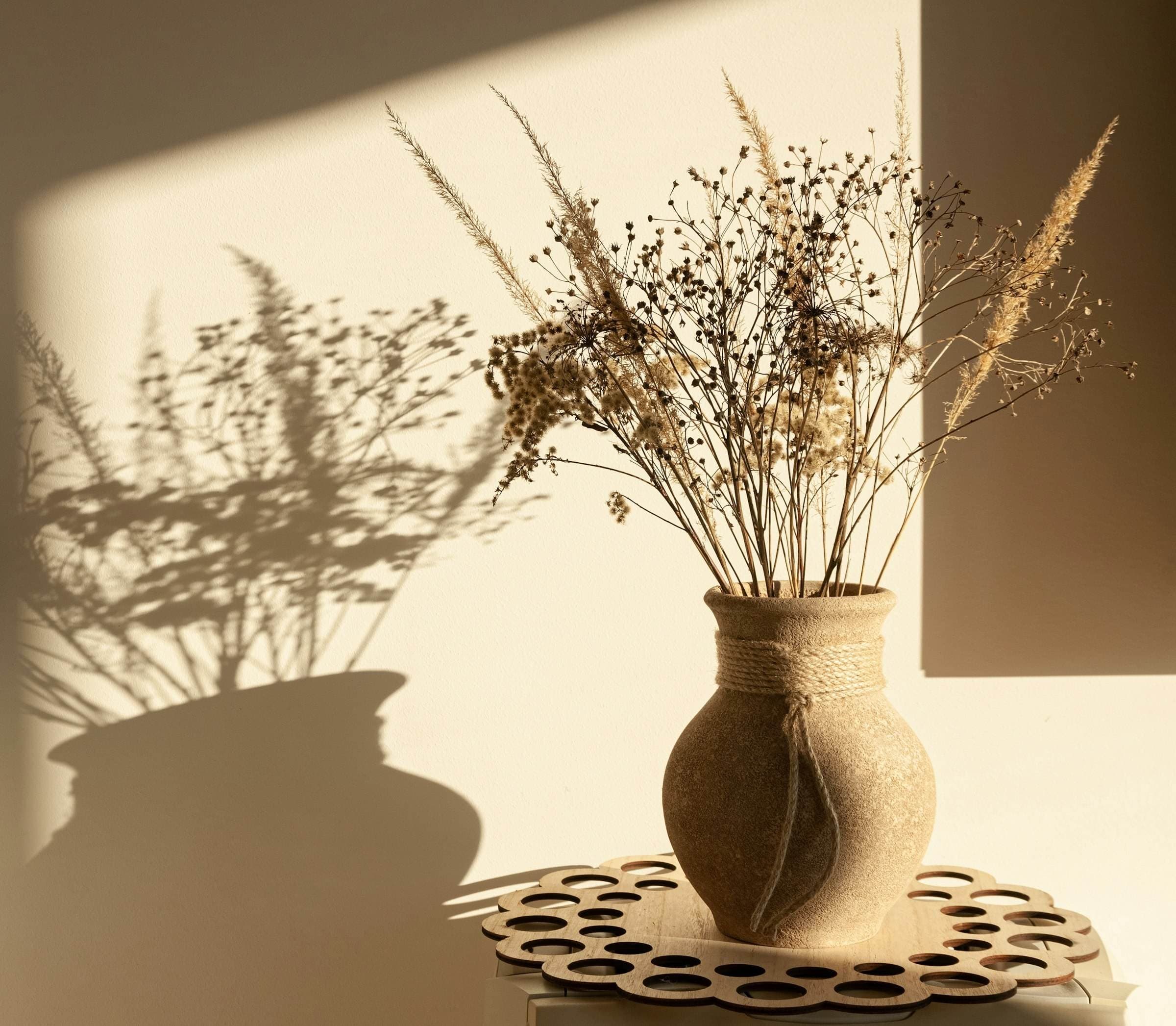 Herbes séchées dans un vase en terre projetant leurs ombres au soleil