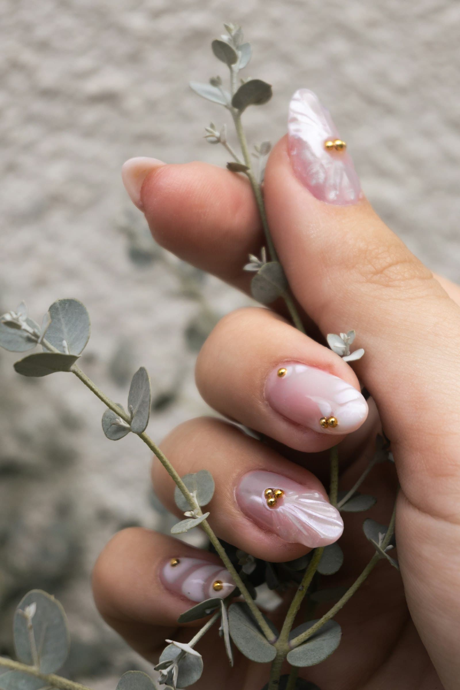 Ongles naturels manucurés tenant un brin d'eucalyptus