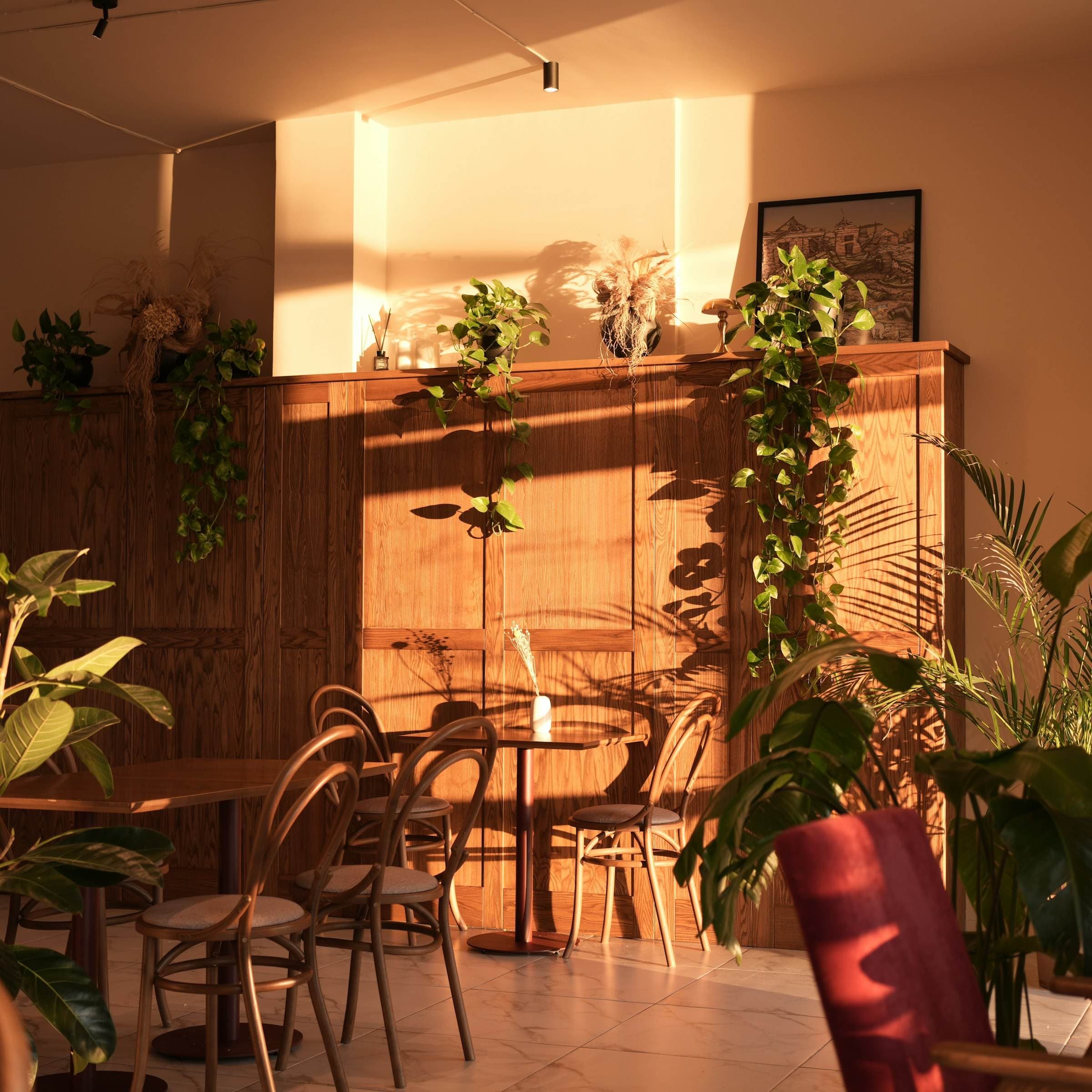 Pièce ensoleillée remplie de plantes et de chaises en bois